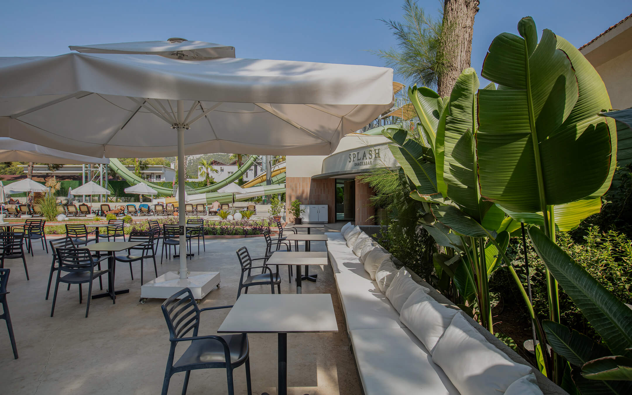 Splash Bar